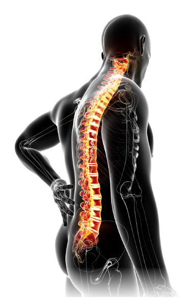 westmed orthopedic back braces