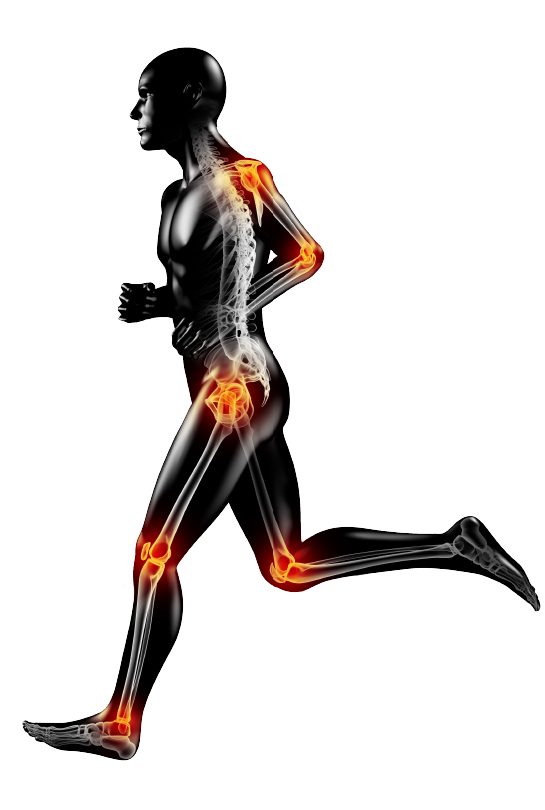 westmed orthopedic products full body